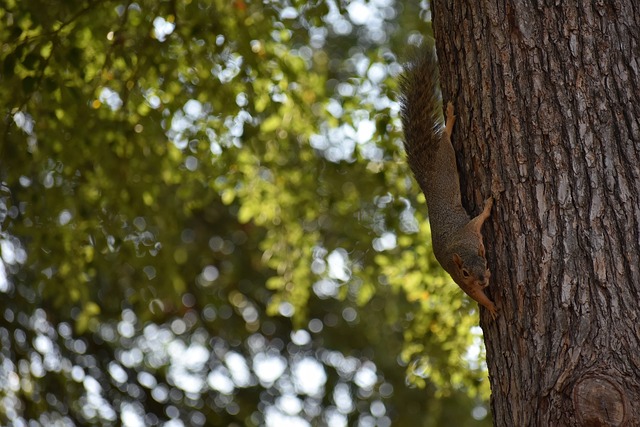 更能在游戏 更能在游戏