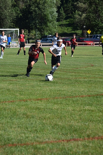 经验丰富的 经验丰富的