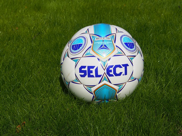 丹尚未形成 丹尚未形成