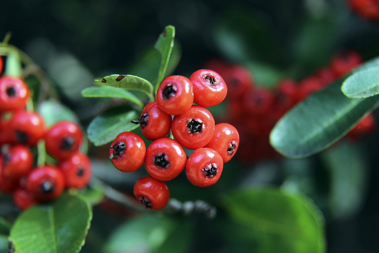 不仅局限于 不仅局限于